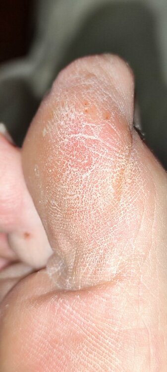 IMG_20230713_130845.thumb.jpg.35b8d44624451ef1dfc981ffd2fa69f9.jpg