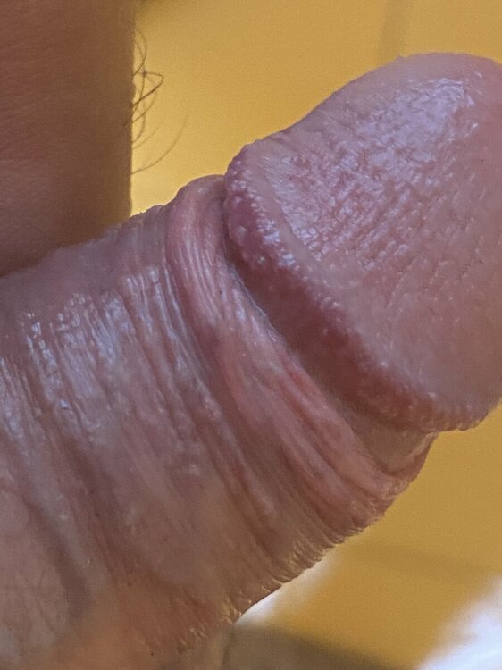 IMG_2427.thumb.jpeg.244c0d0752f0046b34e56f96487537e1.jpeg