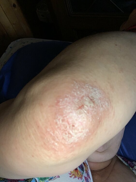IMG_3552.thumb.jpeg.b112c3b19c09c52cb528d1b77f00ebee.jpeg