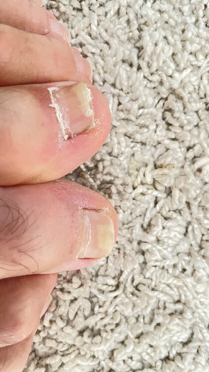 IMG_3806.thumb.jpeg.5ca68cbcdc999aab38264df41cc92783.jpeg