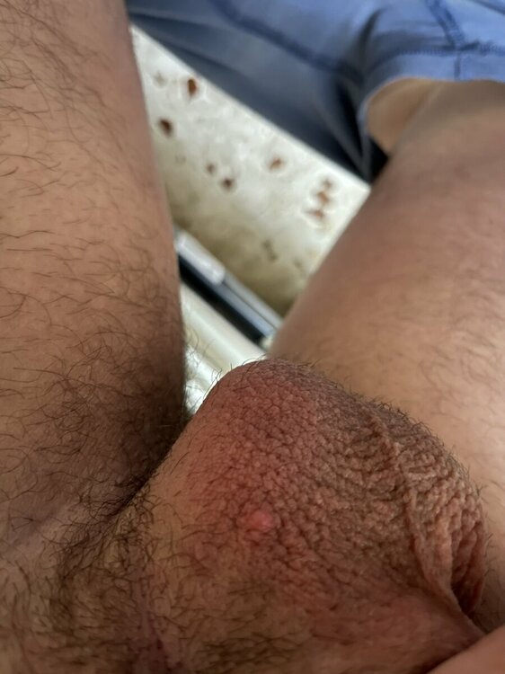 IMG_5636.jpeg