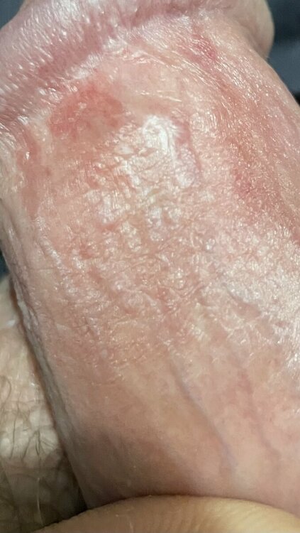 IMG_8220.thumb.jpeg.137490eabc8dd4e3aa02b9ab70551af7.jpeg