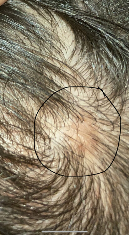 IMG_8974.jpeg