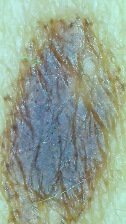 0_2023_08_20_19_55_25_768.thumb.jpg.397fcf3f488d936e47c44baaeeee21a1.jpg