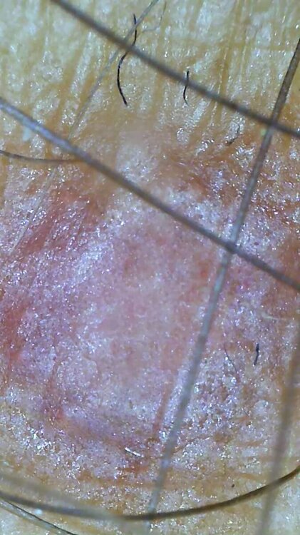 0_2023_08_20_19_56_47_753.jpg