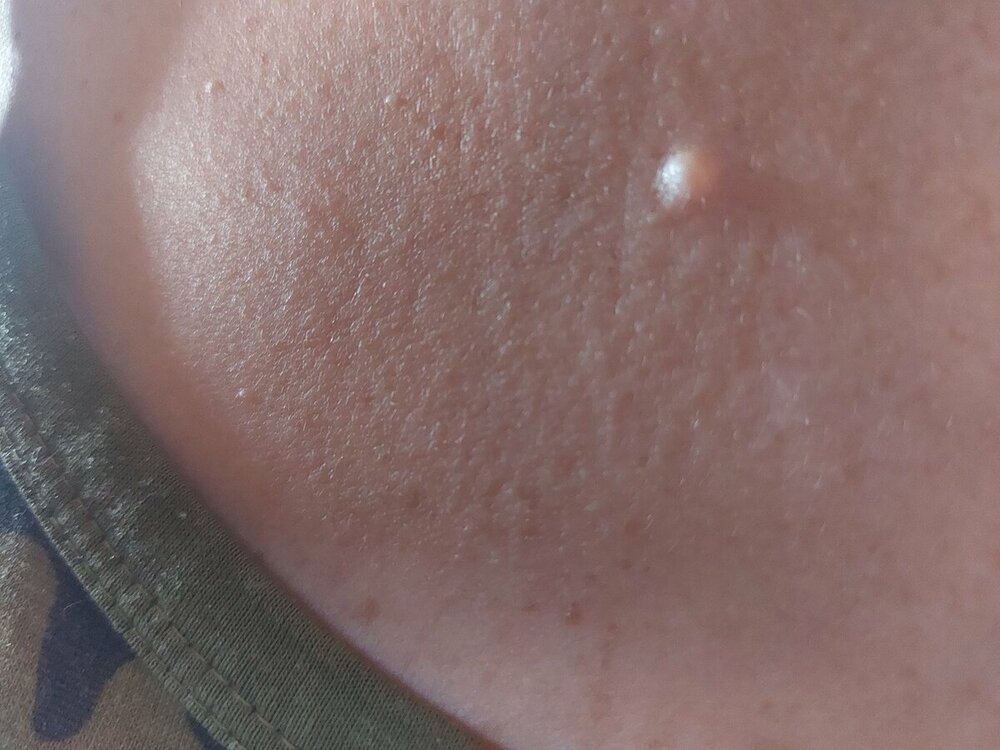 20230807_110122.thumb.jpg.46758e9672d9b3957ac814e639796f78.jpg