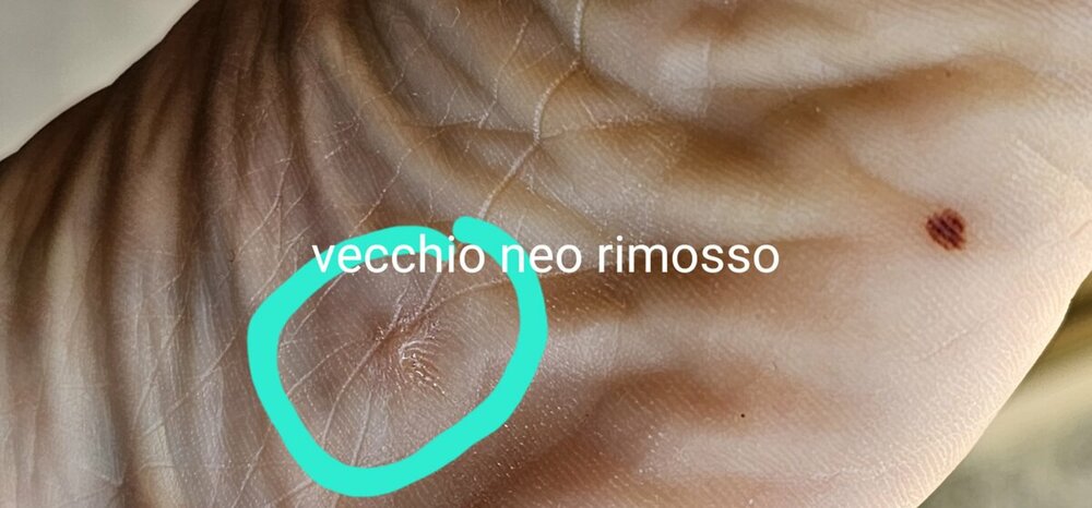 20230812_093328.jpg