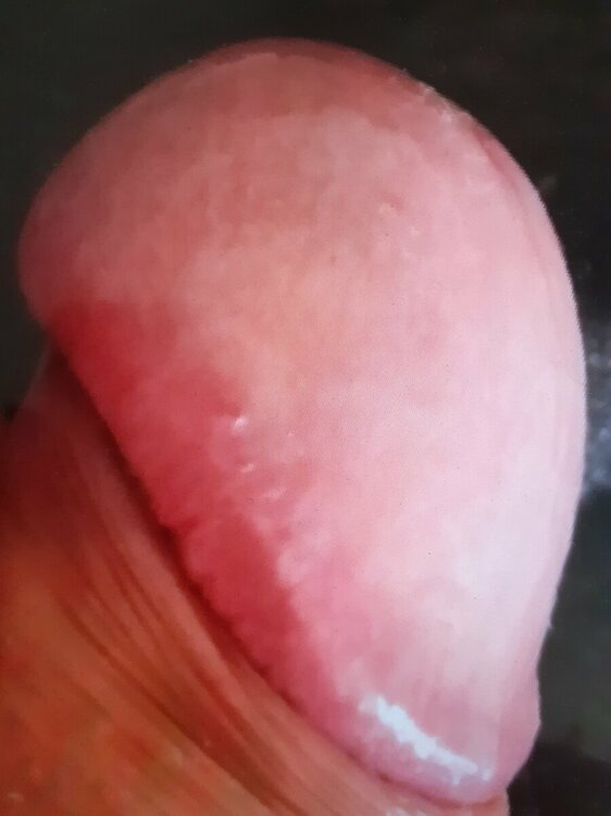 20230824_110333.jpg