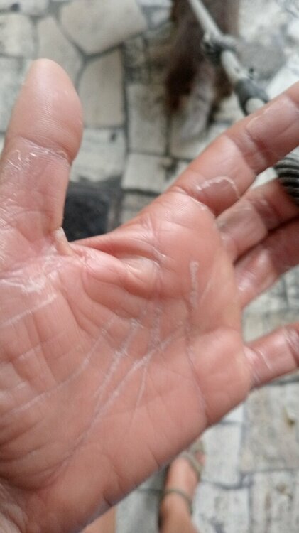 IMG-20230822-WA0011.jpeg
