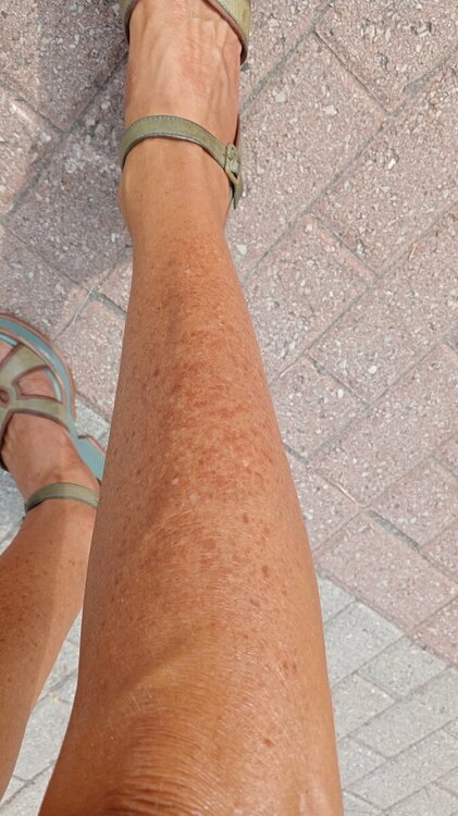 IMG-20230827-WA0010.jpeg