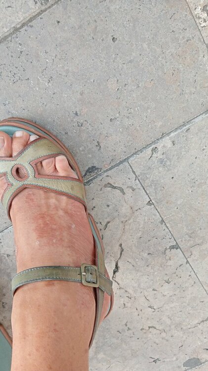 IMG-20230829-WA0024.jpeg