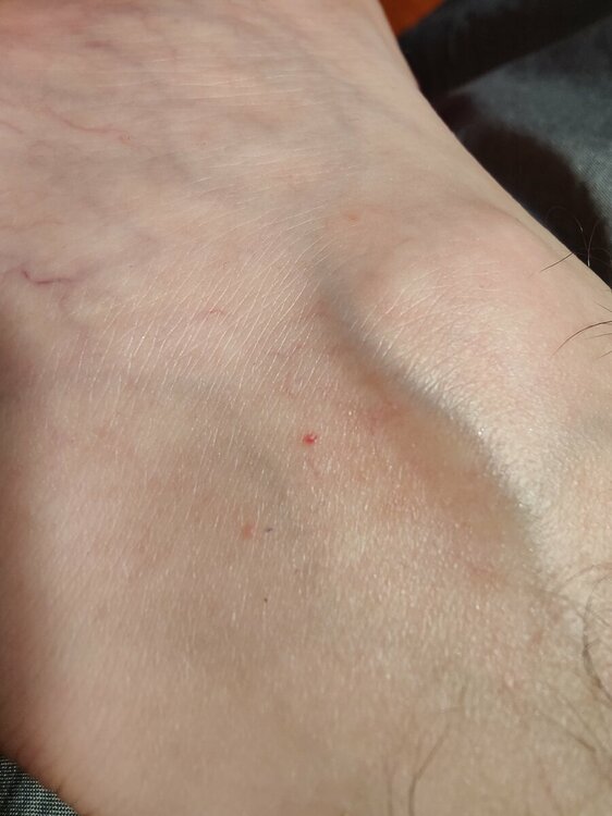 IMG20230725113744.jpg