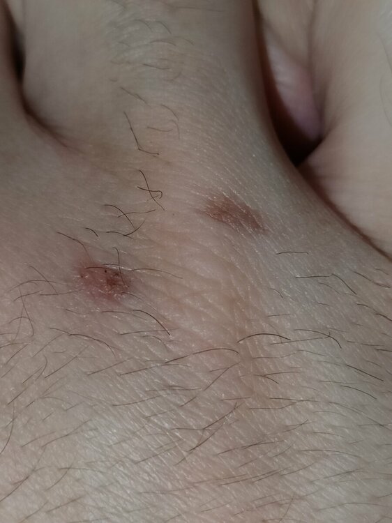 IMG20230730201934.jpg