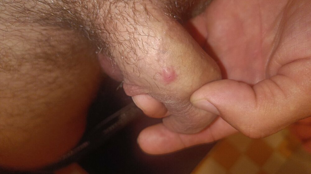 IMG20230827204839.jpg