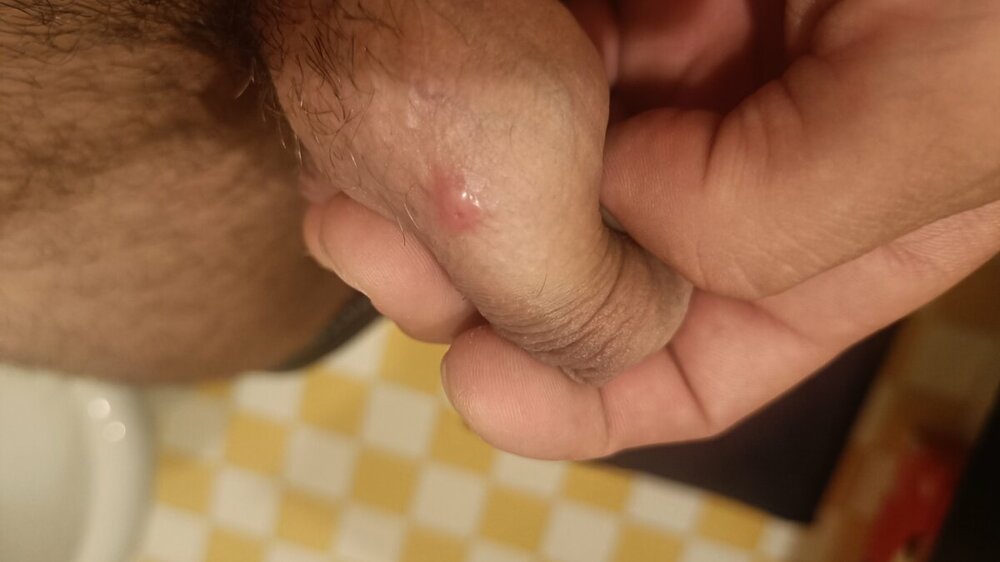 IMG20230827204918.jpg