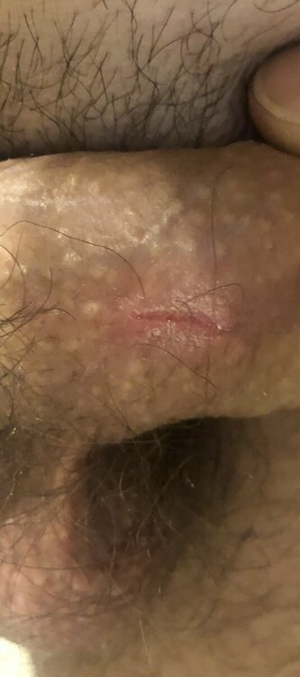 IMG_1925.jpeg