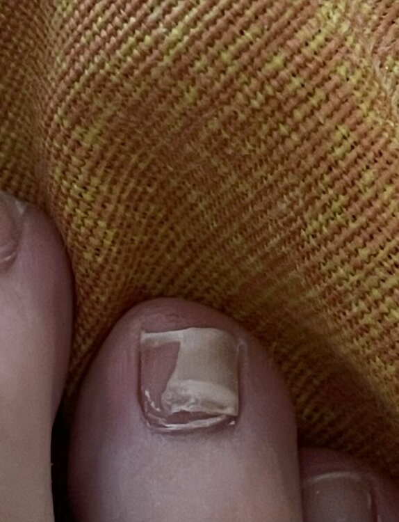 IMG_1951.thumb.jpeg.b2fa640bfbc53699787f4323f8e14015.jpeg