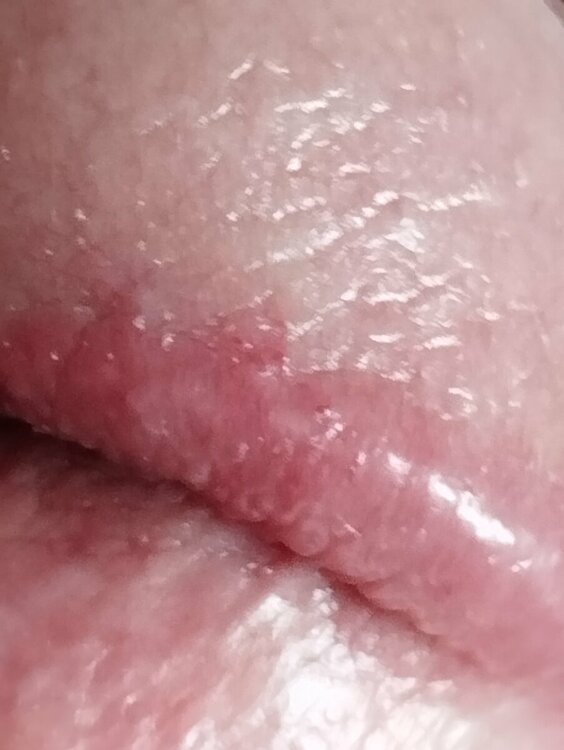 IMG_20230823_130217.jpg