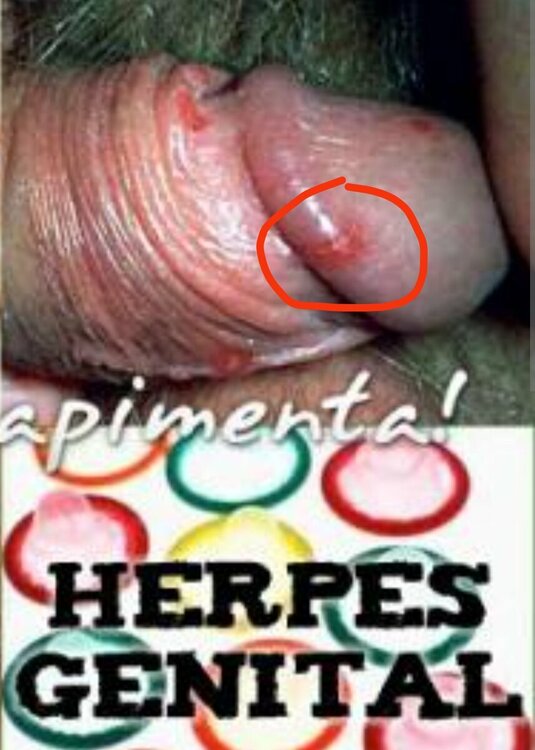 IMG_20230825_143155.jpg