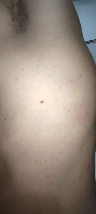 IMG_20230826_221857.thumb.jpg.47381de42e20353cdbb213de629ffb78.jpg