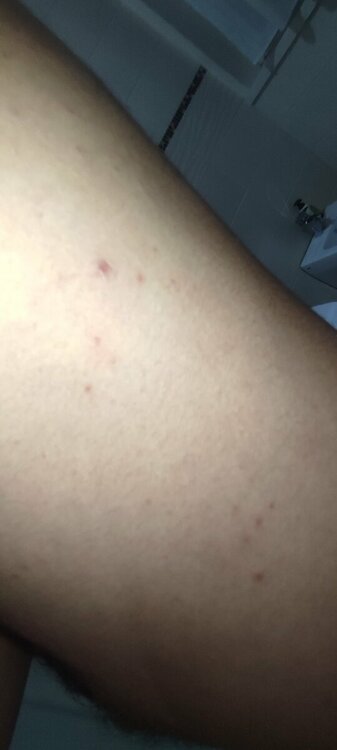 IMG_20230826_221905.thumb.jpg.4ceeff22676d84c4bae318241ad03263.jpg