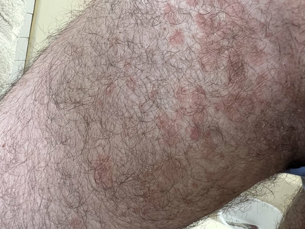 IMG_9665.jpeg