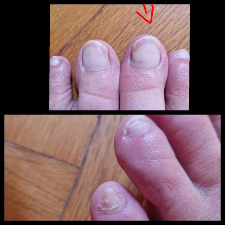 PCIMG_2023-08-06_11-20-16.thumb.JPG.3fbe4f9e393af7fb1db78846c9c0b484.JPG