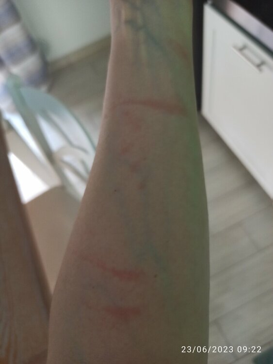 inbound2716236041086523289.jpg