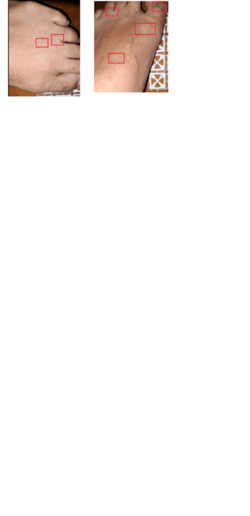 pied.thumb.png.10d953a3f6df8ef6a702b0ba4611740e.png