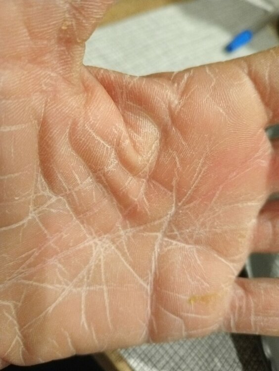 mani prima.jpg