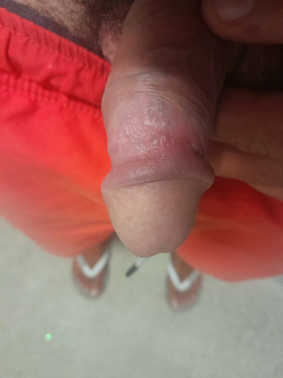 20230902_104521.thumb.jpg.90cdf3fc499d2df6344d2ecf86d01e80.jpg