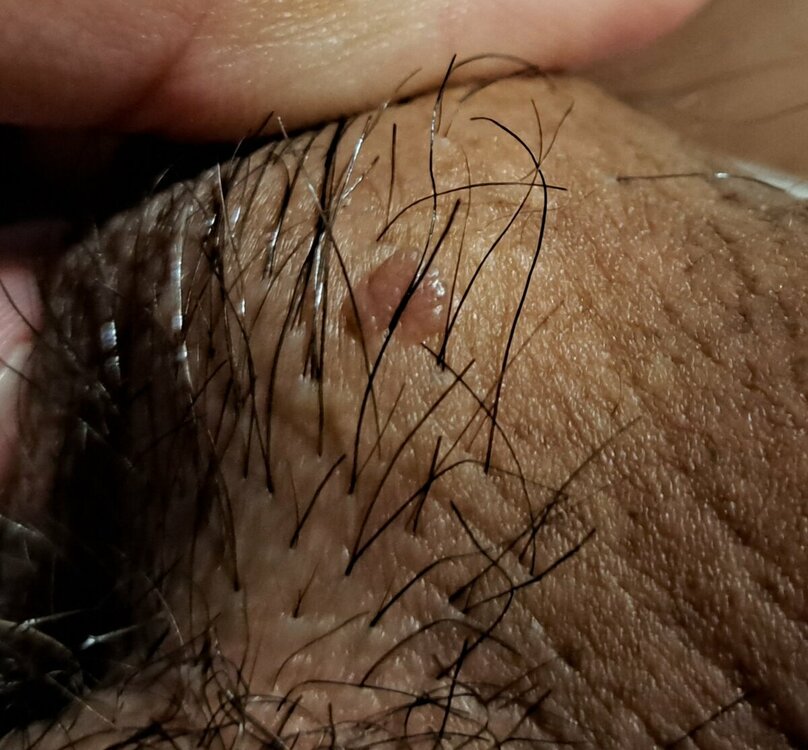 20230903_225546.jpg