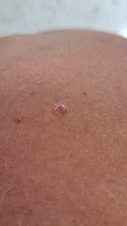 20230910_101327.jpg