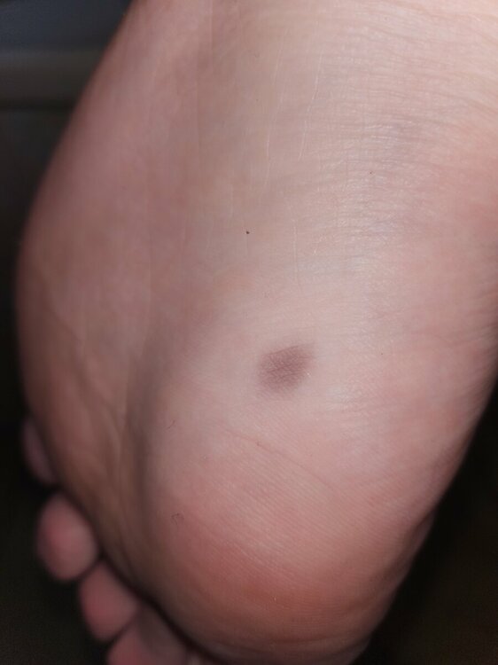20230911_165339.jpg