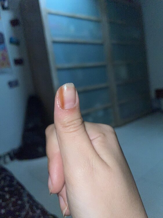 88F8EB30-B402-4E5D-9D18-7C0DC934B9C2.thumb.jpeg.8b9beb3ebad30743a410c2749c60b7f6.jpeg