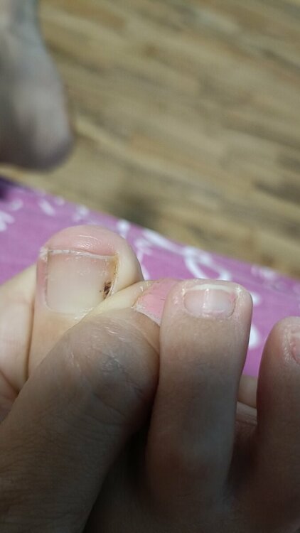 IMG20230910013037.jpg