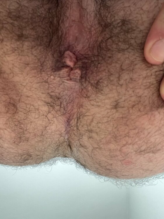IMG_0571.thumb.jpeg.653aff422260251a175e5375fabc52a6.jpeg