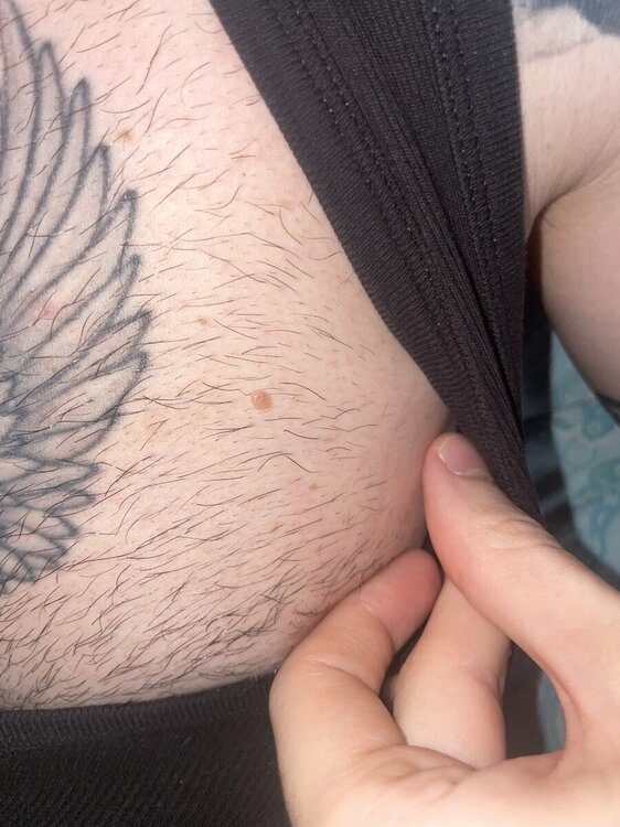 IMG_2005.thumb.jpeg.0eefcd5644962ebed7dadff1318b5f6a.jpeg