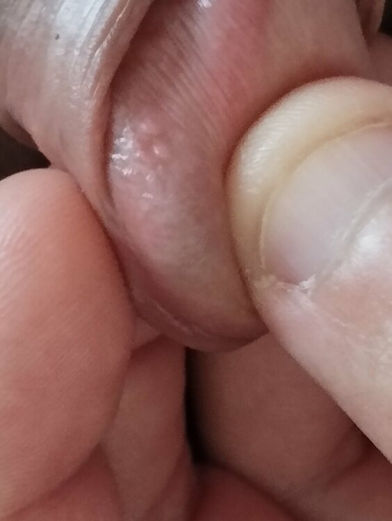 IMG_20230830_160614.jpg