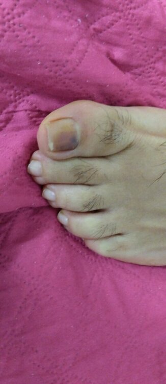 IMG_20230917_210916.jpg