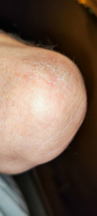 IMG_20230926_172438.jpg