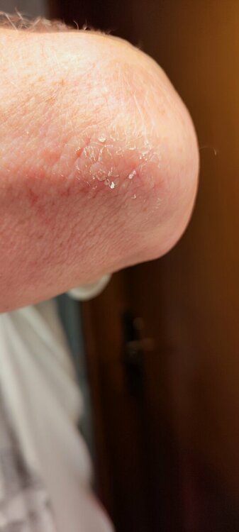 IMG_20230926_184125.jpg