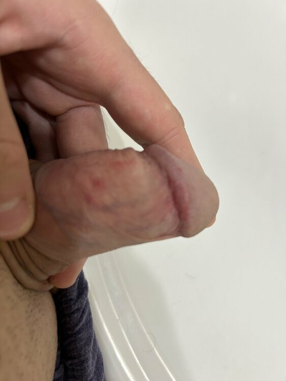 IMG_8526.jpeg
