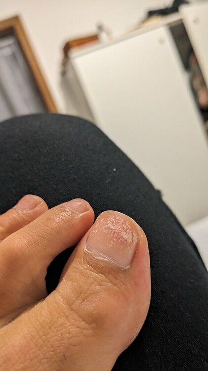PXL_20230911_202352119.jpg