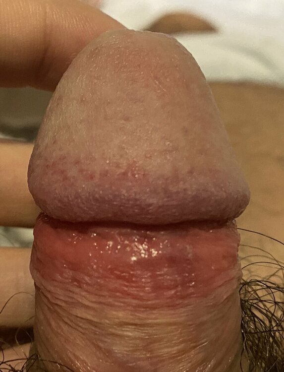 12BD0C53-83DC-4F0D-B5DD-C0550BE2E65A.jpeg