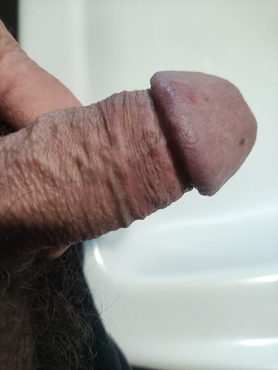1698063652259.jpg
