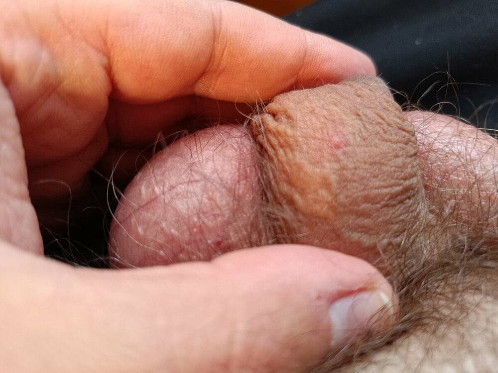 16986599510237221429904099359202.thumb.jpg.42a4a8fcd1d49bc40a5b6173517ab3ee.jpg