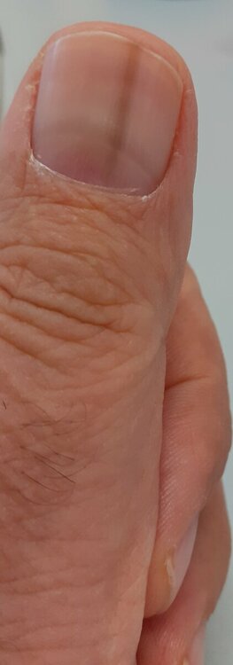 20231016_125941.jpg