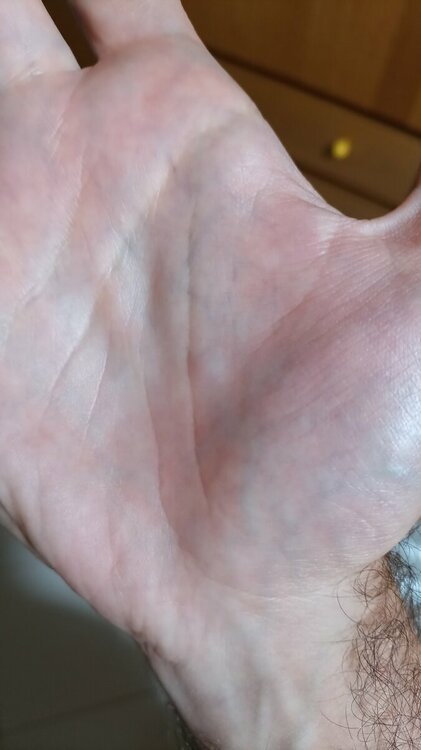 20231019_191026.jpg