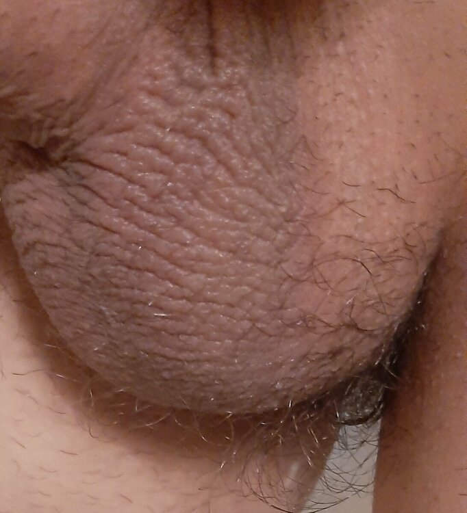 20231025_202024.thumb.jpg.ca96b9900dab30e7efe241bf33b21fb1.jpg
